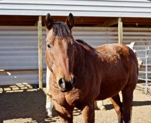 Memo – Sponsored by Cynthia Donnelly!