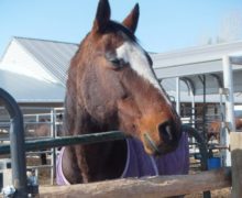 Classy – Sponsored by Robert & Sharon Wear!