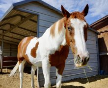 Root Beer – Sponsored by Deb Lundin!